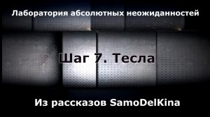 Из рассказов SamoDelKina. Шаг 7. Тесла.