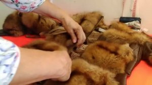 Вставить молнию в меховую куртку