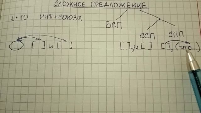 Сложное предложение – что это такое, как легко его отличить от простого