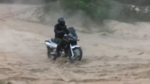 Suzuki Freewind