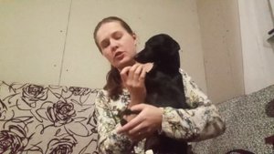 Как ПОДСТРИЧЬ КОГТИ собаке?\ Самая ПОСЛУШНАЯ собака\ ТАКСА не дает подстричь КОГТИ\ Милые собачки