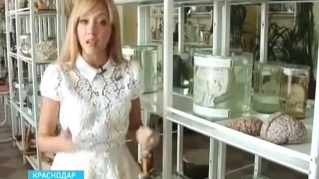 Происхождение левшества. Откуда они берутся?