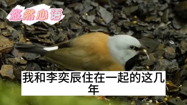 （完整版）合约婚姻嫁给总裁，拒做他情人替身果断离婚，分到豪宅转手卖掉，二婚嫁富豪