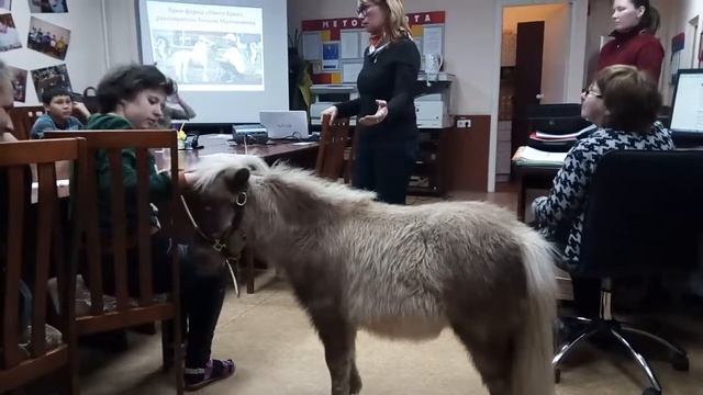 Знакомство с Парвиной, мини-американской миниатюрной лошадкой смотреть онлайн