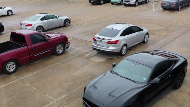 WSS Bluebonnet Cruise | National Mustang Day смотреть онлайн