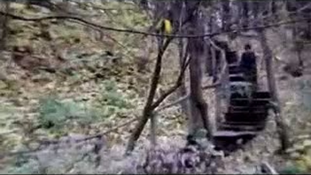 развитие 