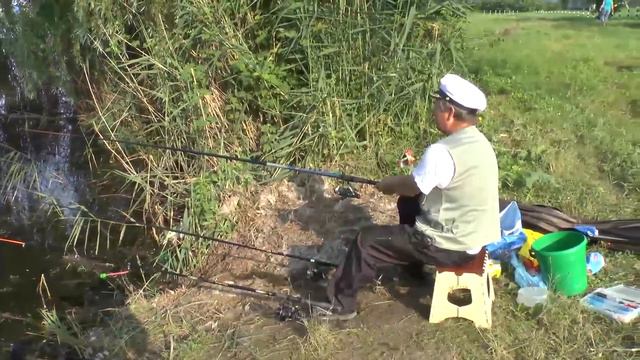 г. Кореновск. Летний карась. 17.06.2016. смотреть онлайн