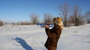 Клипхох Вдоль по улице метелица  метет