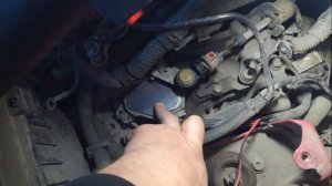 Не загораются фонари заднего хода(Peugeot 206 2008г.АКПП)