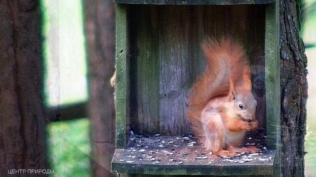 ЗАВТРАШНИЙ ДЕНЬ