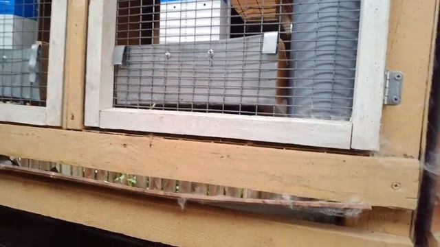 КРОЛИКИ не любят КОМАРОВ % Мой метод борьбы с комарами смотреть онлайн