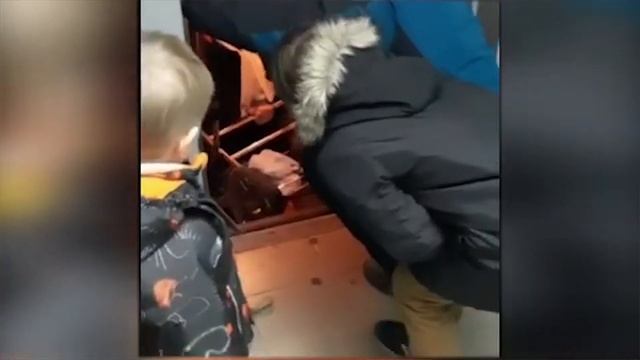 Лифт сорвался и упал в шахту! Расследуем очередной журнабред смотреть онлайн