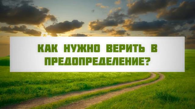 как нужно верить в предопределение смотреть онлайн