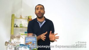 Кролики - уход за беременной крольчихой