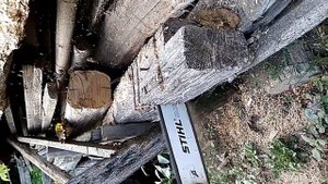 Заточка цепи штиль и прочие
