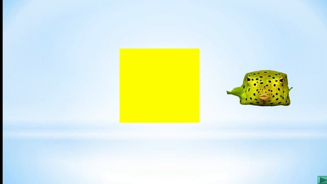Презентация 