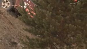 Внедорожники 2014