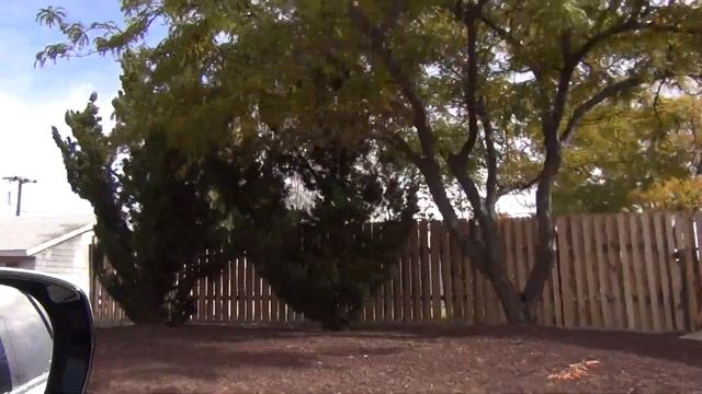 ВО ВСЕ ТЯЖКИЕ ПО КАНЬОНАМ | Пэйдж | Каньон Антилопы |Водохранилище Пауэлл | Каньон Подкова | Аризон смотреть онлайн