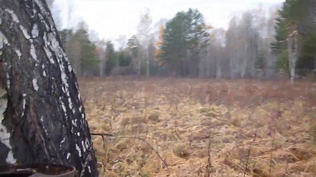 Бочка на медведя смотреть онлайн