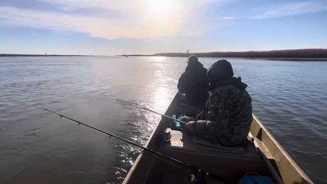 Сом на 7 кг в Астрахани. На что клюет сом? Сом на пиявку