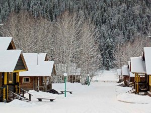 03. Алексей Коломийцев 3 сессия .