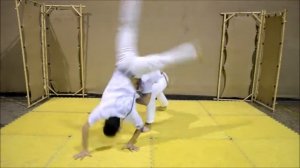 Primeira Sequência de Mestre Bimba(Capoeira Raça) - Soka e Tubarão