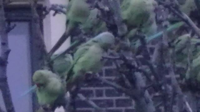 Дворец Бинненхоф в Гааге! смотреть онлайн