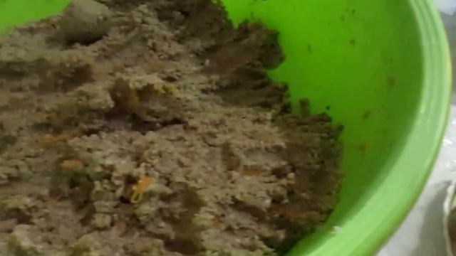 Что полезно кушать собакам и кошкам? Второй вариант приготовления корма. смотреть онлайн