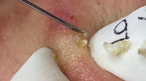 Lead A Happy Life # 1281