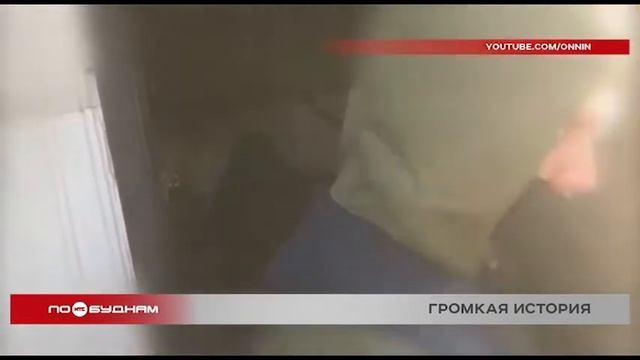 Прокуратура Иркутской области начала проверку деятельности приюта для животных "Пять звёзд" смотреть онлайн