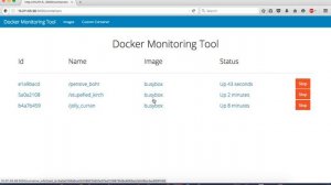 Docker Monitoring Tool