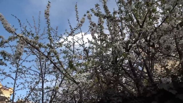 29.03.23, We, Baghramyan poghota, ev harakits poghotsner ev baker. смотреть онлайн