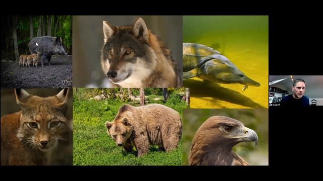 Rare Burren Plants with Cillian Roden and Farming Vs Rewilding for Biodiversity with Pádraic Fogart смотреть онлайн