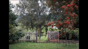 ОЙ РЯБИНА КУДРЯВАЯ -русская-народная ПЕСНЯ