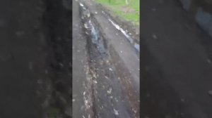 Водитель высыпал мусор на дорогу в поселке Российском и записал видео с объяснениями.