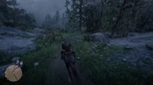 Как в несколько раз увеличить скорость лошади в Red Dead Redemption 2