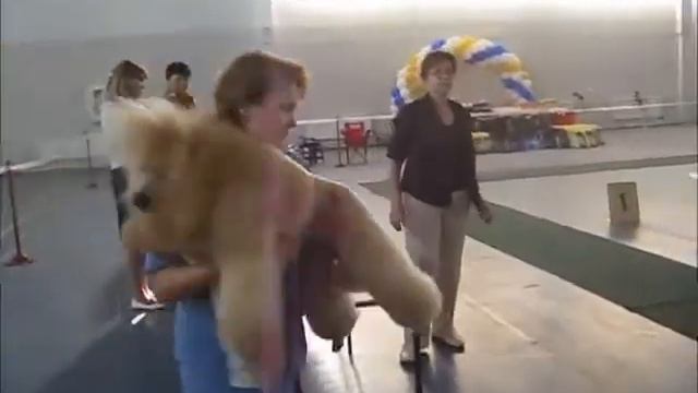 Astana 14/08/2011 CACIB Пудель смотреть онлайн