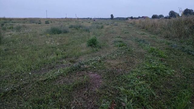 Сенокос Трактор Т-25(3069) косилка Виракс 1.65 смотреть онлайн