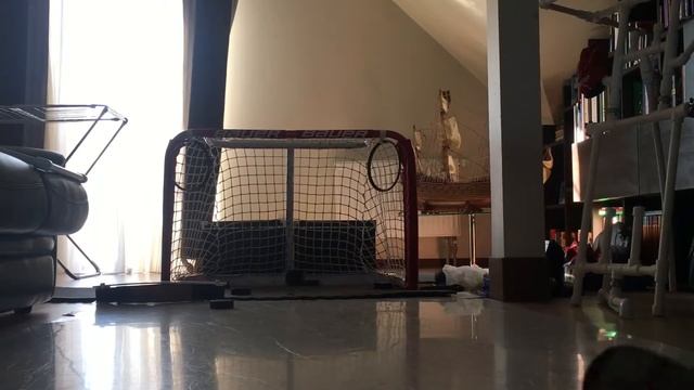 Как бросать шайбу броски по воротам смотреть онлайн