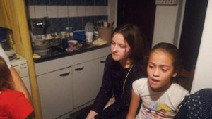 Вила са Кошара