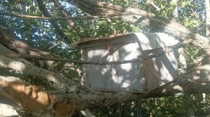 VID_20230829_162526.mp4