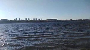 Речные змеи Волгограда