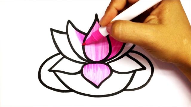 Как нарисовать кувшинку | Сурет салу лилия болотная | How to draw a water lily смотреть онлайн