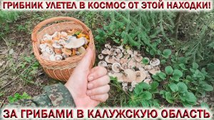 💥ГРИБНИК УЛЕТЕЛ В КОСМОС от ЭТОЙ НАХОДКИ!🚀ЗА ГРИБАМИ в КАЛУЖСКУЮ ОБЛАСТЬ! 🍄Грибы 2024 Август🌳🌲