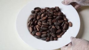 Какао бобы сырые