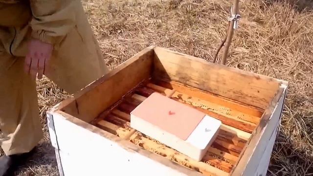 Весенняя стимулирующая подкормка пчел сахарным сиропом с добавлением: витамин+микроэлементы.