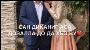 Сан хьоме Да❤️