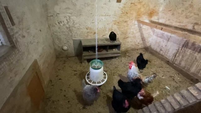 У нас заморозило и матрёшки радуют папу смотреть онлайн