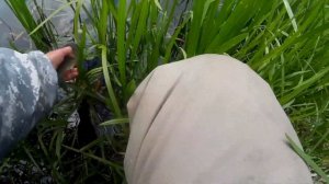 Рыбалка на ГОЛАВЛЯ! / Стрельнули СТИКБЕЙТЫ! / ЛОВИМ ГОЛАВЛЯ СПИННИНГОМ НА СТИКИ