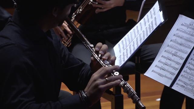 G. Ligeti - 6 Bagatelas para quinteto de viento. Quinteto Cosan смотреть онлайн